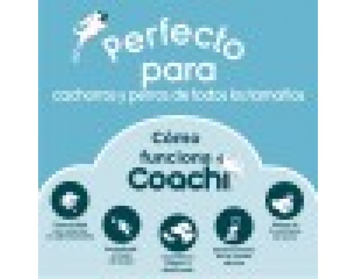 Дъмбел Coachi TRAINING DUMBBELL