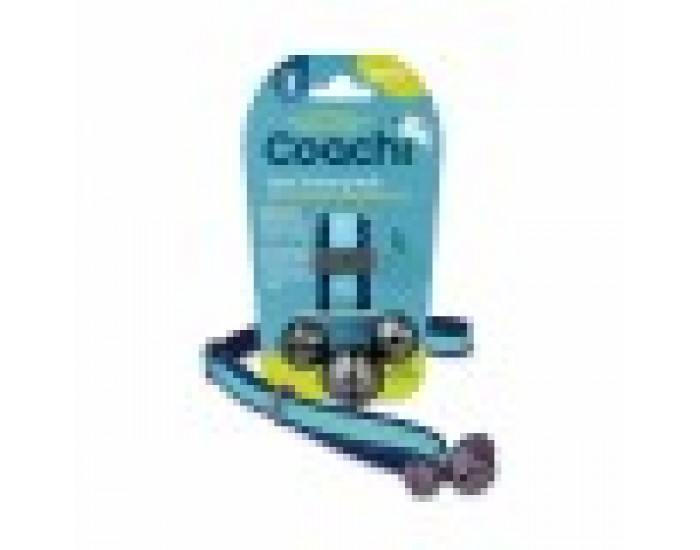 Training toy Coachi Bells Син