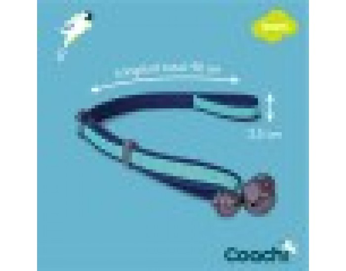 Training toy Coachi Bells Син