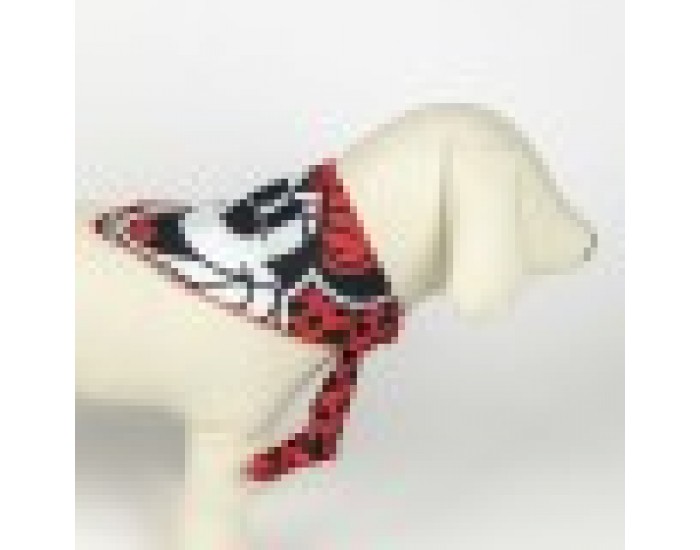 Welcome Gift Set for Dogs Minnie Mouse Червен 5 Части