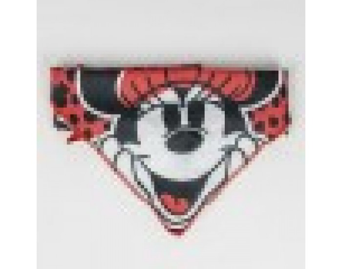Welcome Gift Set for Dogs Minnie Mouse Червен 5 Части