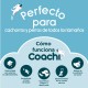 Training toy Coachi Син