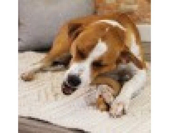 Играчка за Кучета Nylabone 11 Кафяв Животни