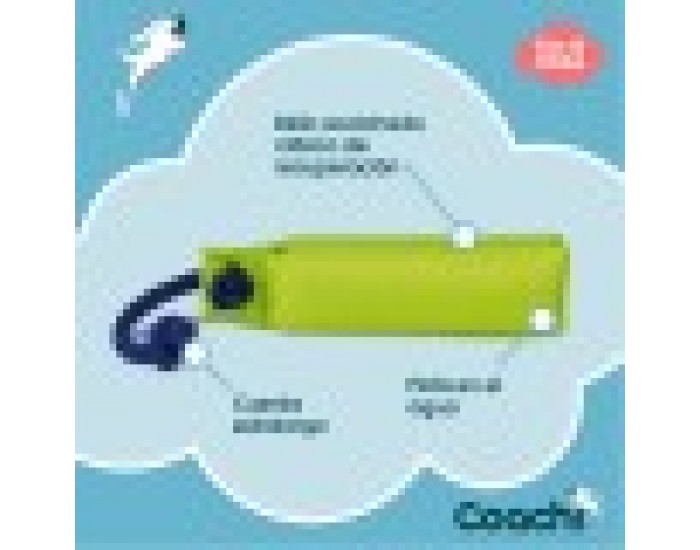 Training toy Coachi
