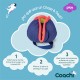 Training toy Coachi CHASE & TREAT Син
