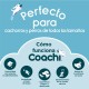 Training toy Coachi CHASE & TREAT Син