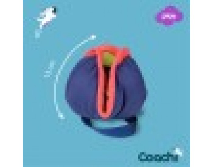 Training toy Coachi CHASE & TREAT Син