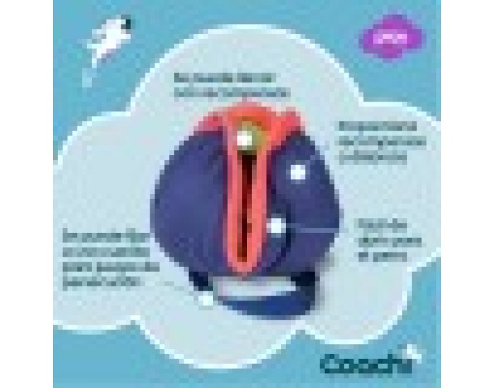 Training toy Coachi CHASE & TREAT Син