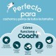 Дъмбел Coachi TRAINING DUMBBELL Син