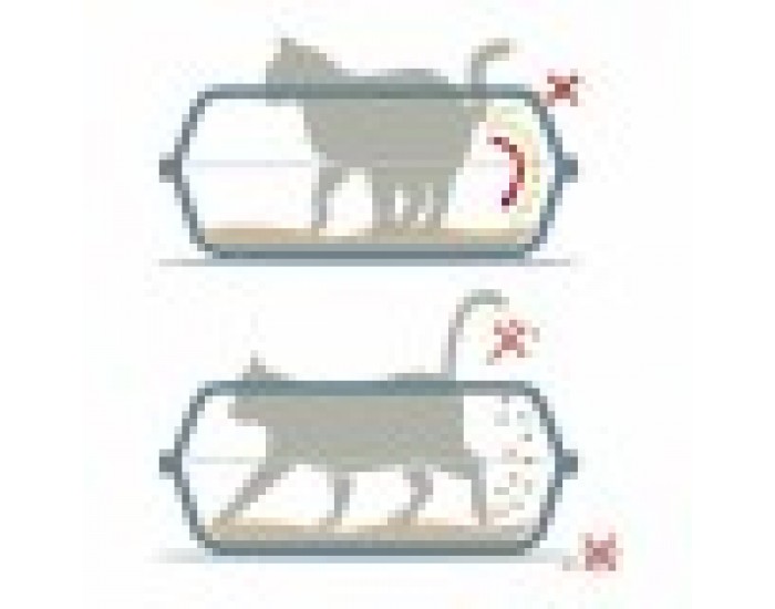 Пясъчник за Котки Georplast Sonic Пластмаса 44,5 x 34 x 18,5 cm (7 броя)