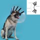 Елизаветинска яка за куче KVP EZ Clear, 16-19 cm