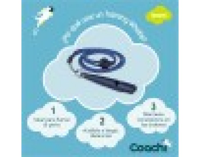 Свирка Coachi