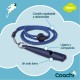 Свирка Coachi