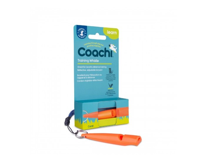 Свирка Coachi