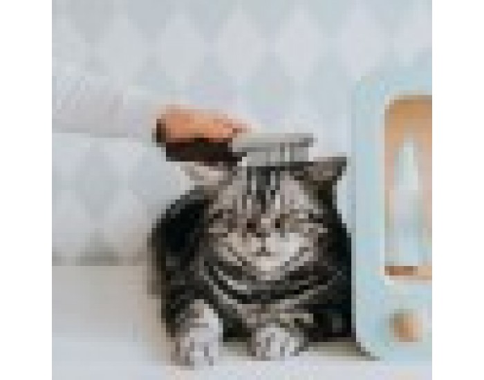 Четка за Премахване на Косми Hunter Extra Soft