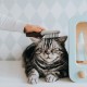 Четка за Премахване на Косми Hunter Extra Soft