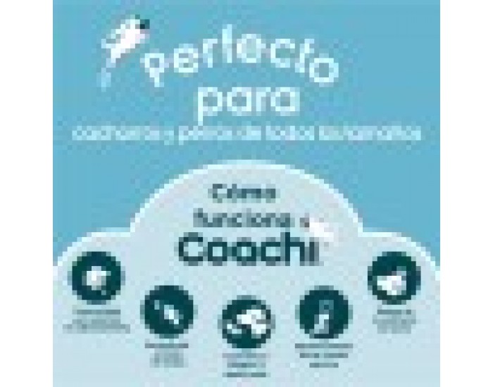 Свирка Coachi