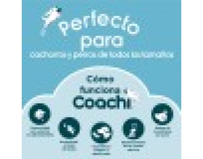 Свирка Coachi