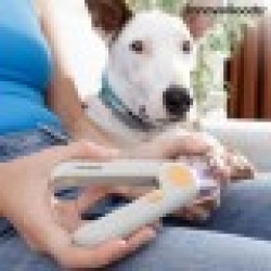 LED Нокторезачка за Домашни Любимци InnovaGoods - Accesorii