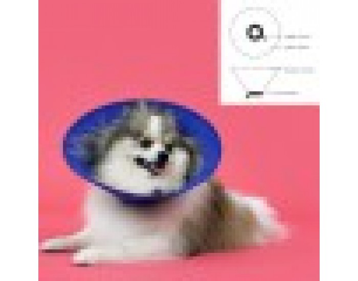Яка за куче KVP EZ Soft, 18-38 cm, Мека