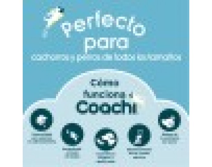 Свирка Coachi Син
