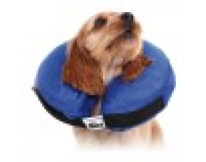 Recovery Collar for Dogs KVP Kong Cloud, Плюш