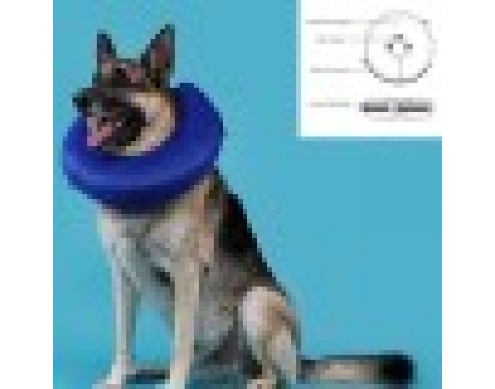 Recovery Collar for Dogs KVP Kong Cloud, 25-33 cm, Миеща
