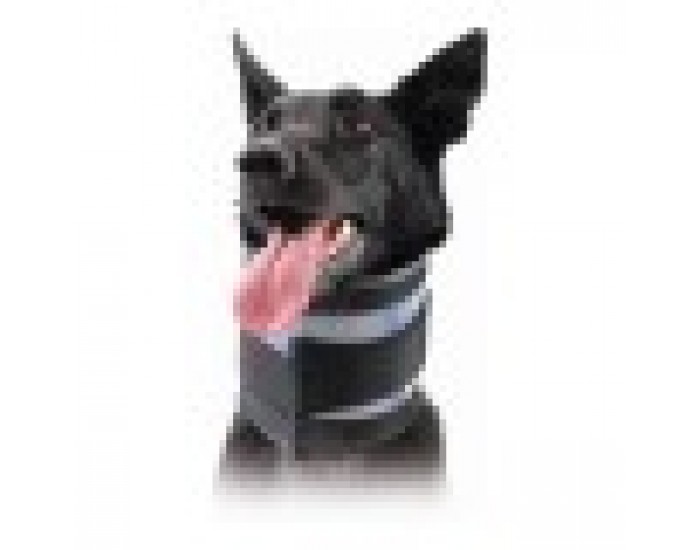 Cervical Collar for Dogs KVP, Черен, 6-28 cm