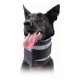 Cervical Collar for Dogs KVP, Черен, 6-28 cm
