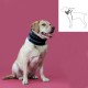 Cervical Collar for Dogs KVP, Черен, 6-28 cm