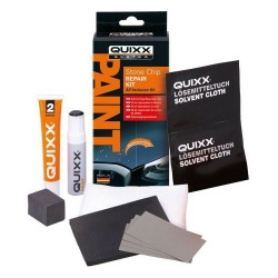 Препарат за Възстановяване на Боя за Автомобили Quixx Сребро - Decorațiuni