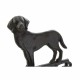 Звънец DKD Home Decor Котка Куче Кафяв Тъмно сив Въже Желязо 14 x 15 x 24 cm (2 броя)