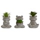 Декоративно Растение Home ESPRIT полиетилен Цимент Жаба 7,5 x 5 x 11 cm (3 броя)