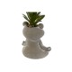Декоративно Растение Home ESPRIT полиетилен Цимент Жаба 7,5 x 5 x 11 cm (3 броя)