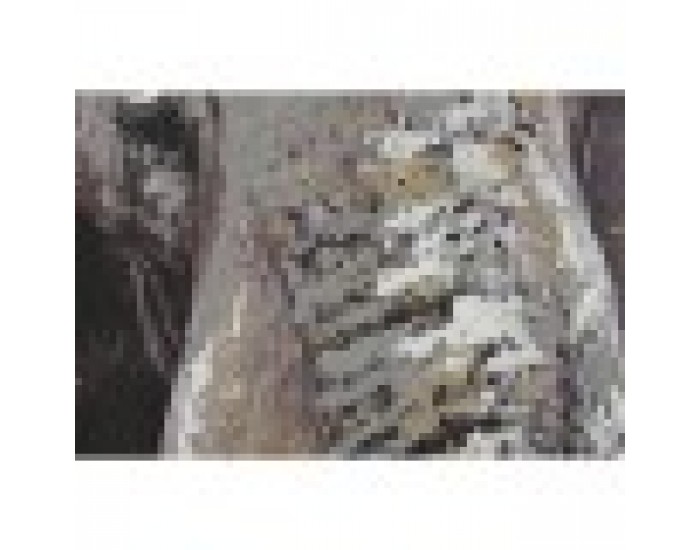 Картина Home ESPRIT Слон Колониален 90 x 3 x 120 cm (2 броя)