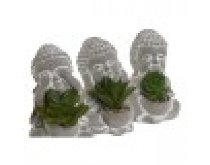 Декоративно Растение Home ESPRIT полиетилен Цимент Буда Ориенталски 8,5 x 7 x 11 cm (3 броя)