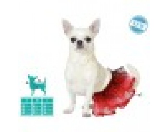 Костюм за Куче Размер S Tutu