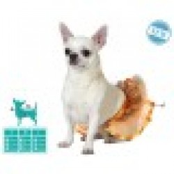 Костюм за Куче Размер М Tutu - Rosanto pets