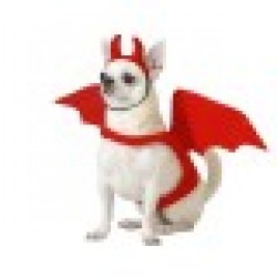 Костюм за Куче Демон Размер S - Rosanto pets