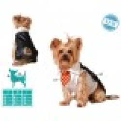 Костюм за Куче Размер S Магьосник - Rosanto pets