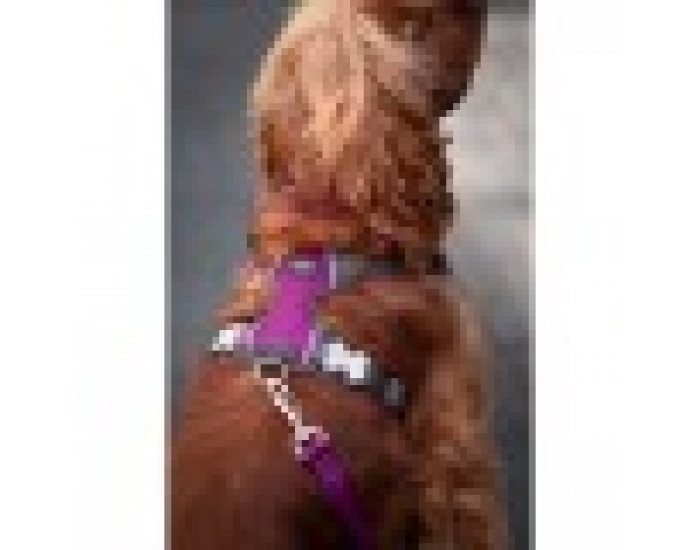 Каишка за Куче Red Dingo Dingo 38-58 cm 46-63 cm Лилав M