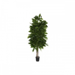 Дърво Home ESPRIT полиестер Дървен 100 x 100 x 185 cm - Home esprit