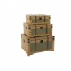 Комплект сандъци Home ESPRIT Зелен Дървен Пластно Тропически 81 x 50 x 45 cm (3 броя)