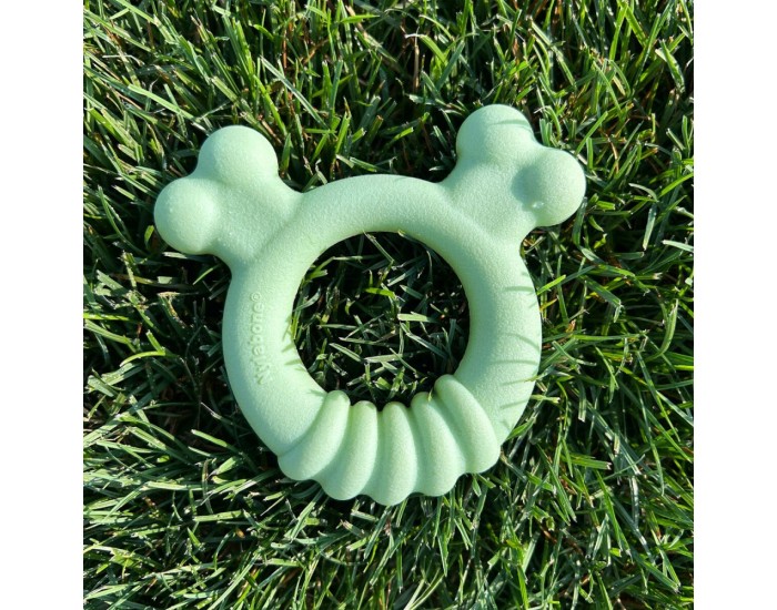 Гризалка за кучета Nylabone SENSORY TACTILE RING Зелен Фъстъчено масло Пиле S