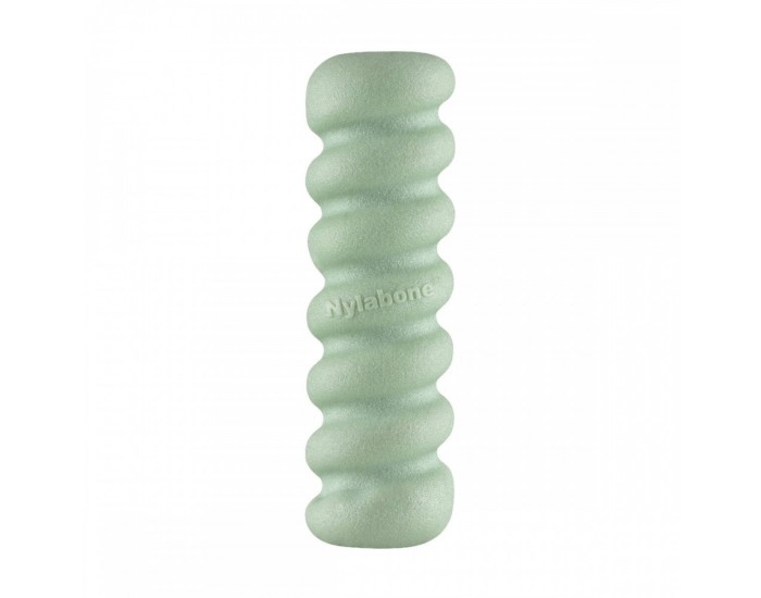 Гризалка за кучета Nylabone SENSORY TACTILE STICK Зелен Фъстъчено масло Bacon S
