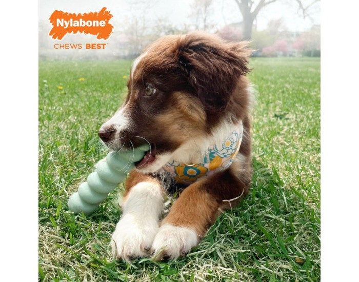 Гризалка за кучета Nylabone SENSORY TACTILE STICK Зелен Фъстъчено масло Bacon S
