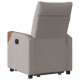 Sonata Fotoliu electric rabatabil cu ridicare, gri taupe, textil