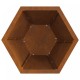 Sonata H Огнище Хексагонално 50x50x40 см От бурен стомана