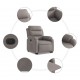 Sonata Fotoliu electric rabatabil cu ridicare, gri taupe, textil