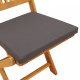 Sonata H Сгъваеми градински столове с сиво Cushions 2бр. от масивно акациево дърво